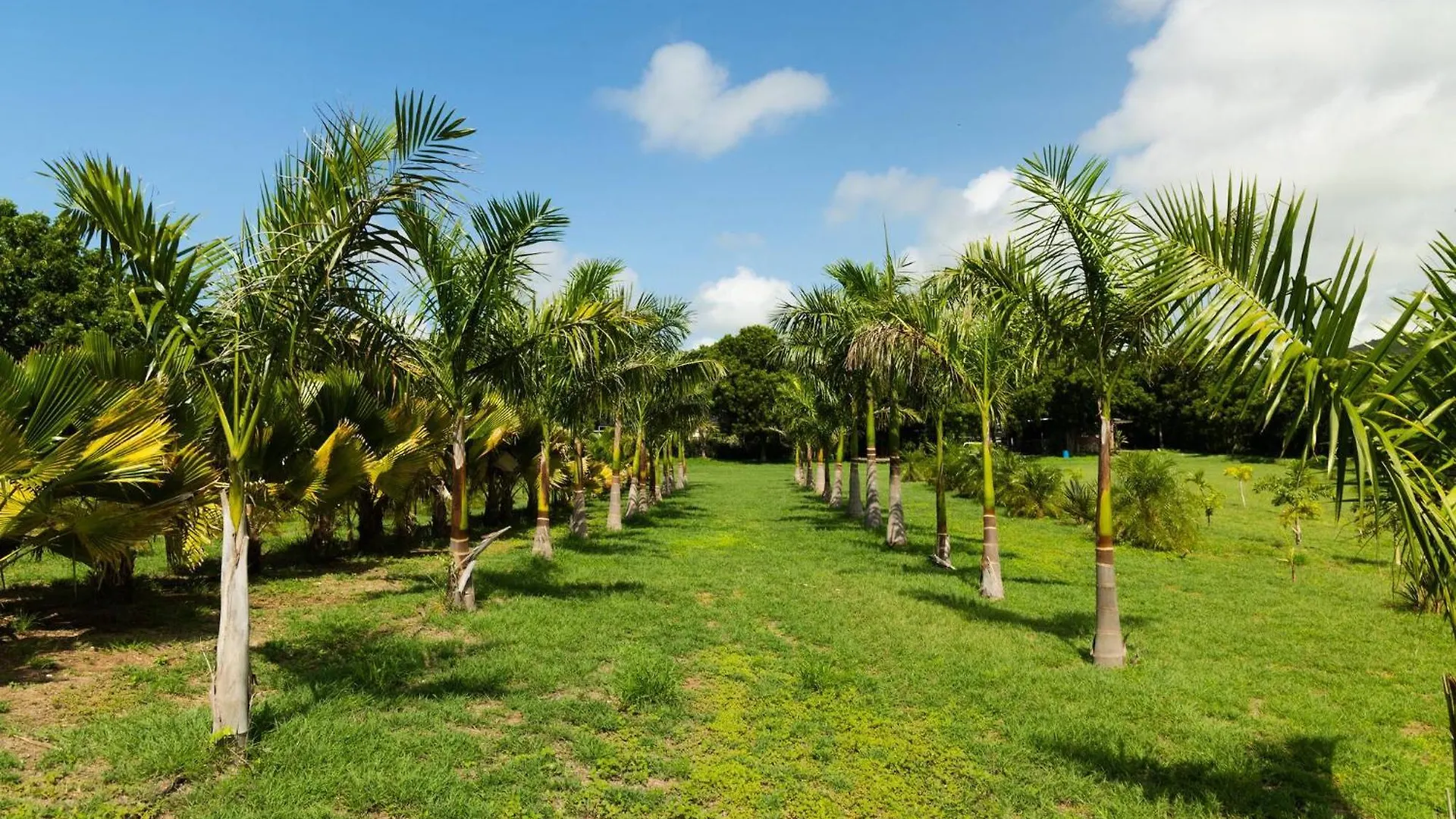 Prázdninový dům Vila Eco-Friendly Glamping With Private Pool Cabo Rojo