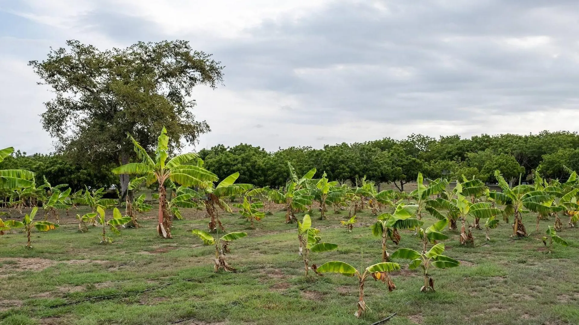 Vila Eco-Friendly Glamping With Private Pool Cabo Rojo